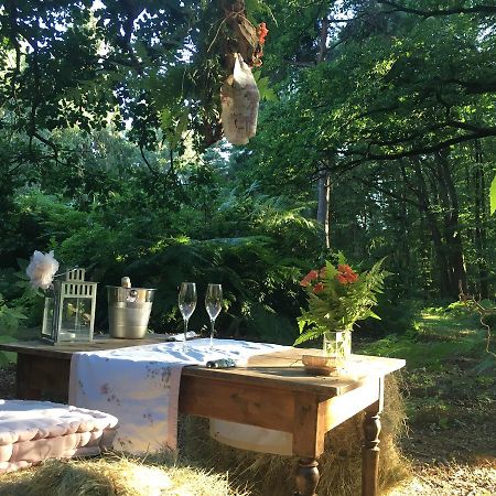 Domaine Du Vertbois La Haye-du-Theil Zewnętrze zdjęcie