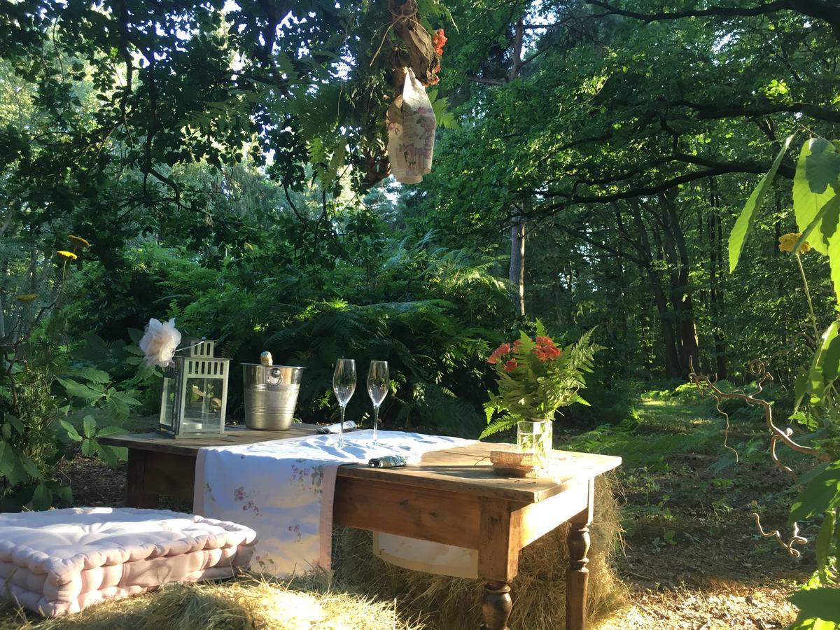 Domaine Du Vertbois La Haye-du-Theil Zewnętrze zdjęcie