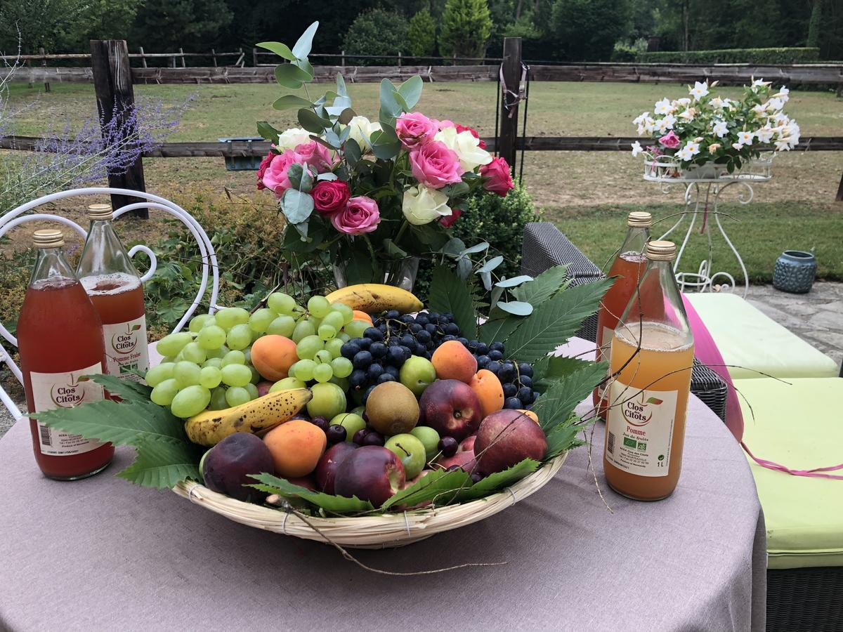 Domaine Du Vertbois La Haye-du-Theil Zewnętrze zdjęcie